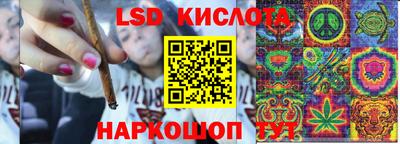 spice Будённовск