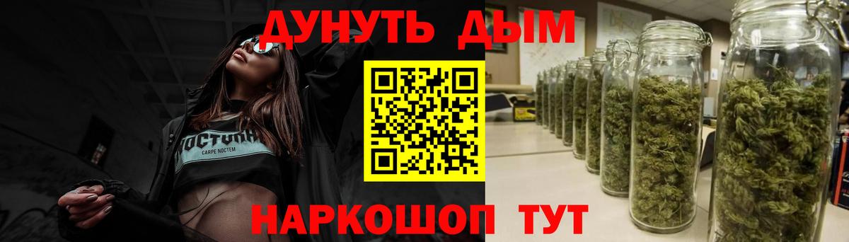 Бошки Шишки план Сунжа